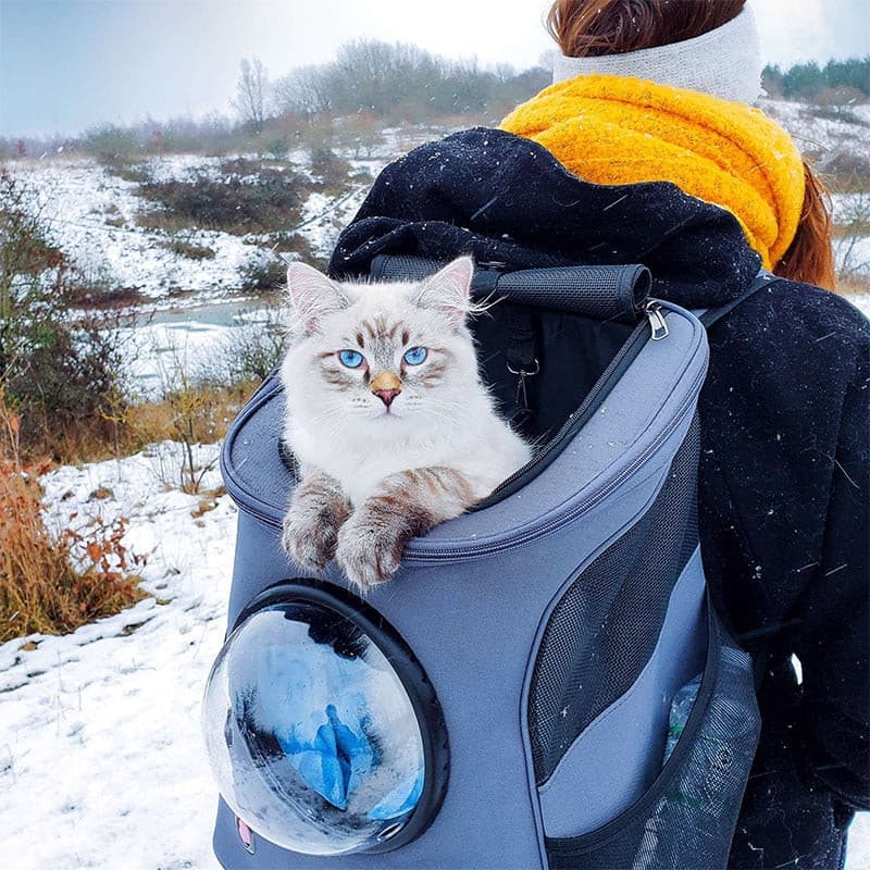 Travel Cat Backpack Bubble Carrier — Jeffrey's Natural Pet Foods