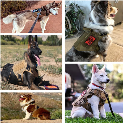 Vest For Dog Training Set - Large Dog Harness with Leash and Collar, Perfect for German Shepherds, Malinois, and All Breeds