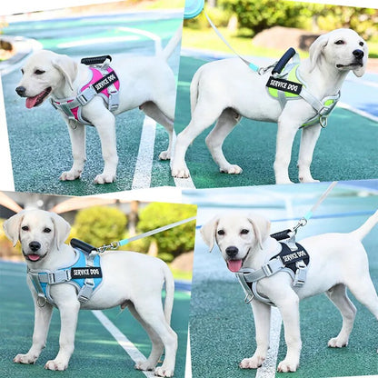 Vest For Dog Training
