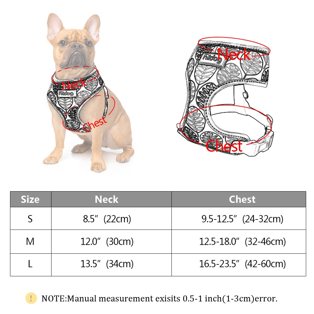best harness for english bulldog