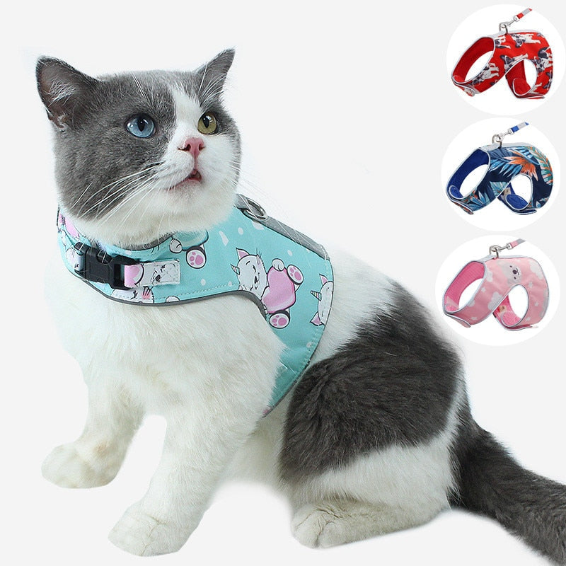 extra large cat harness