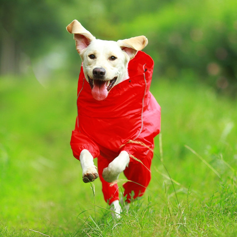Dog Raincoat For Labrador Akita Shepherd