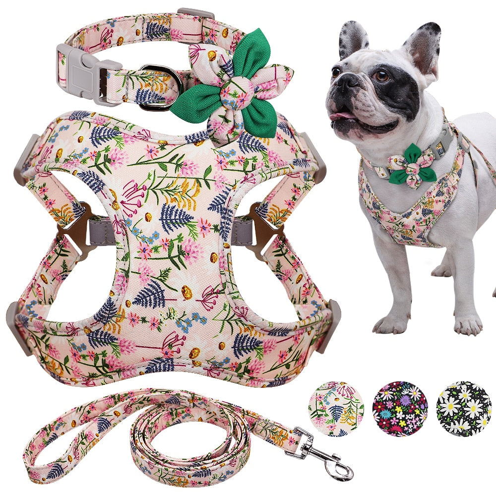 floral harness for bulldogs