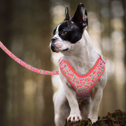 floral harness dog