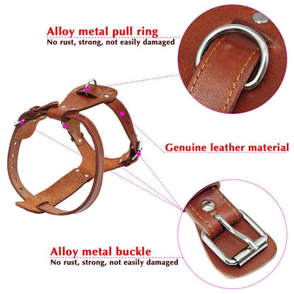 leather bulldog harness