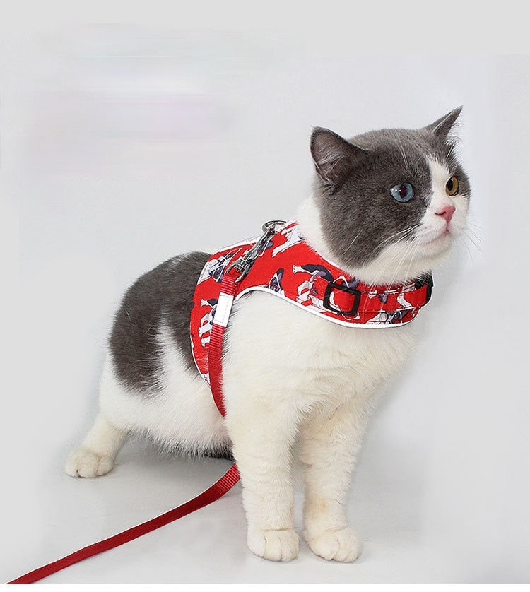 cat harness and lead