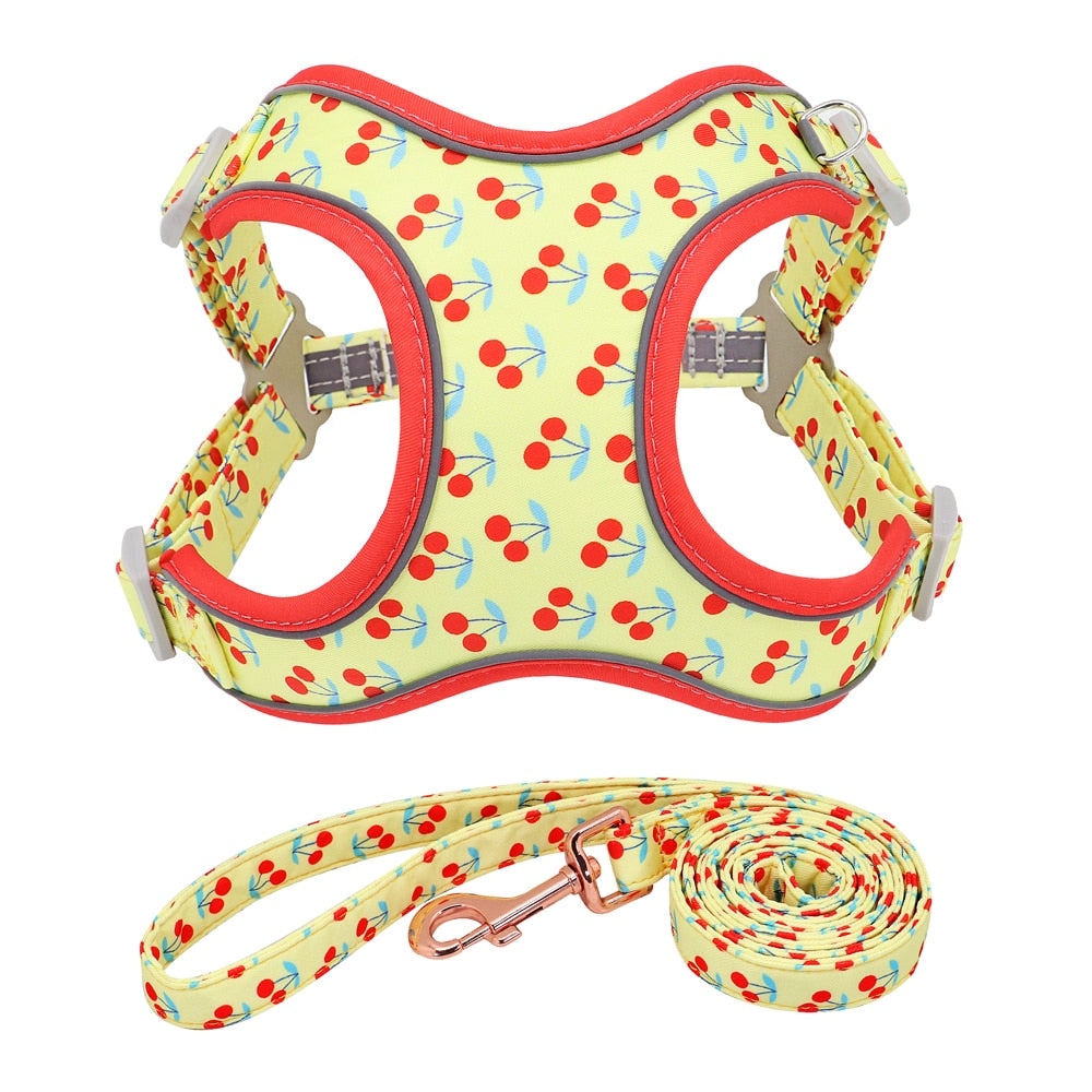 poodle harness