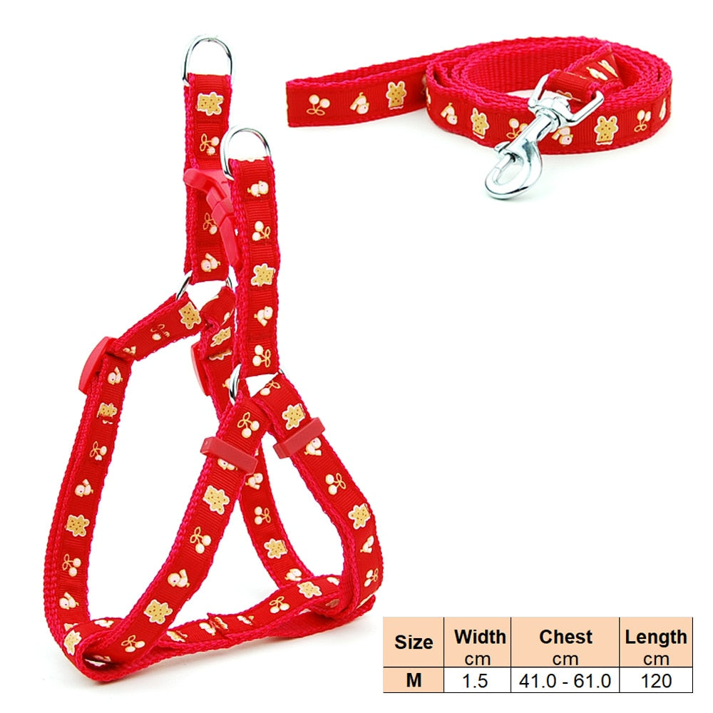 best harness for corgi puppy