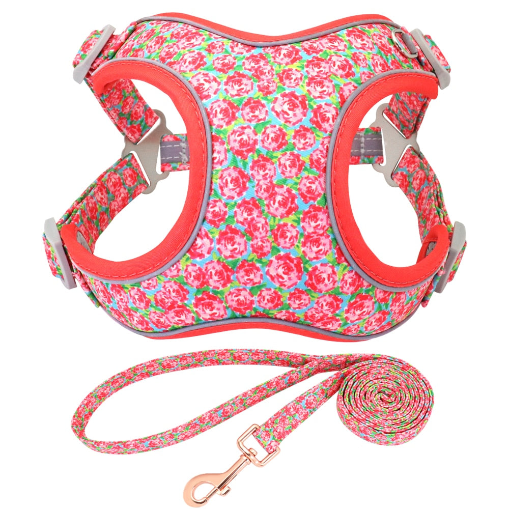 dog harness for jack russell