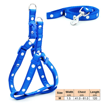 corgi puppy harness