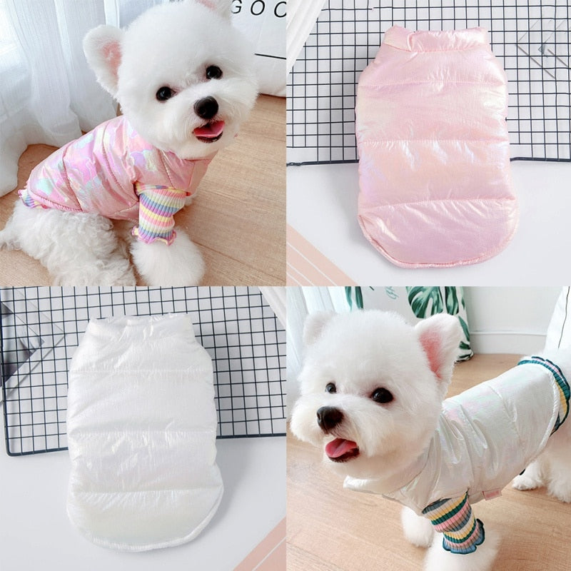 dog clothes for small dogs