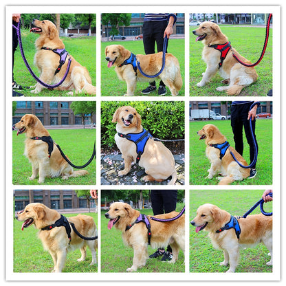 harness for labs