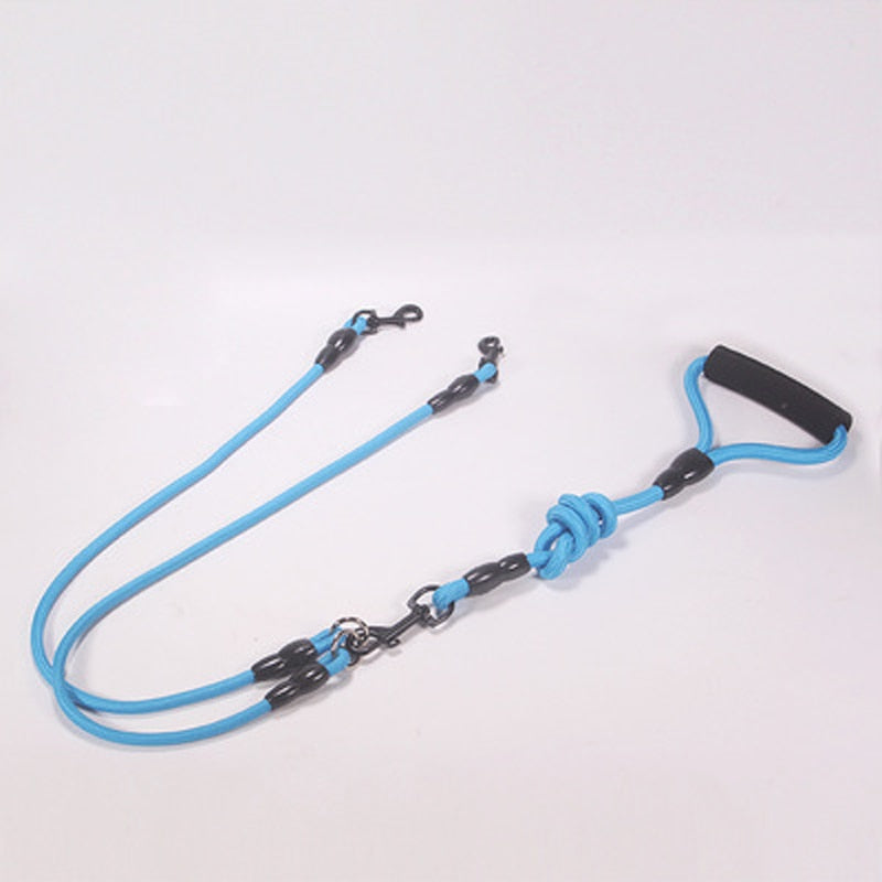 two dogs leash