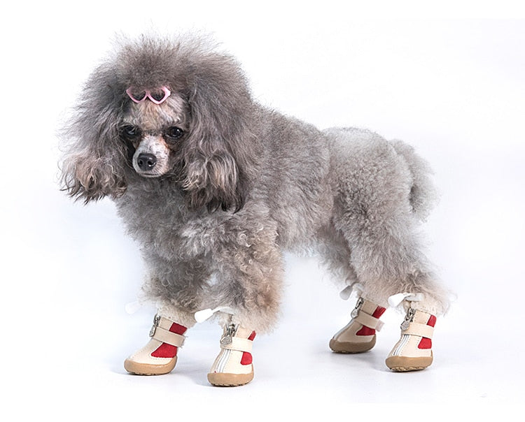 puppy shoes for winter