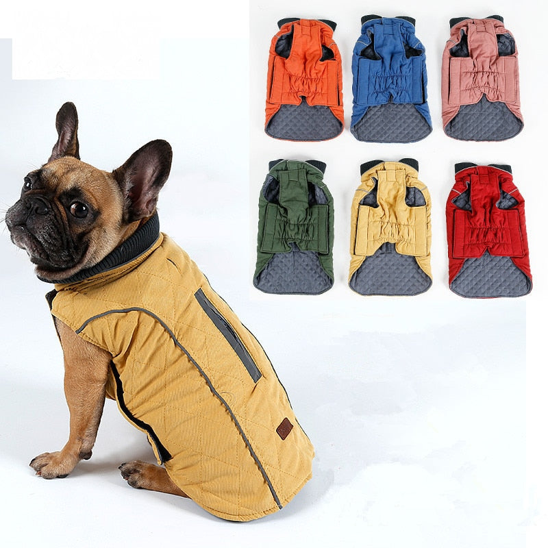 dog coats for dogs