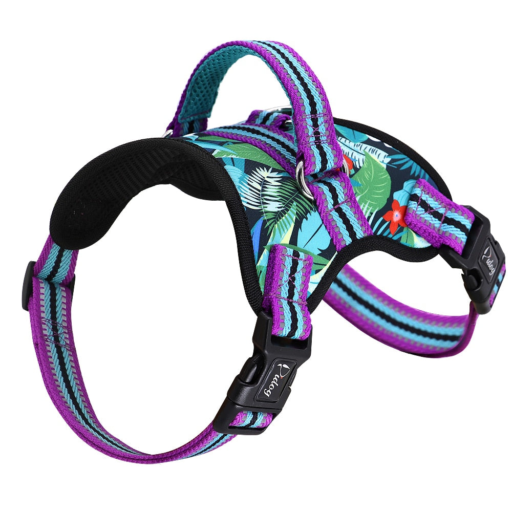 harness for poodles