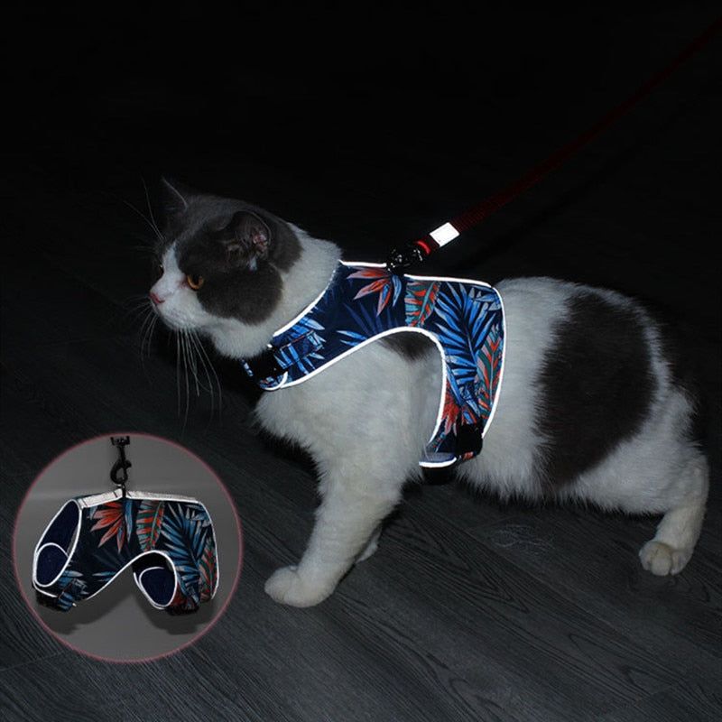 best cat harness for hiking