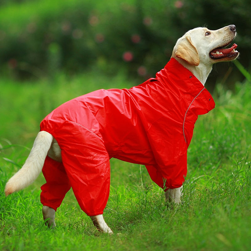 Dog Raincoat For Labrador Akita Shepherd
