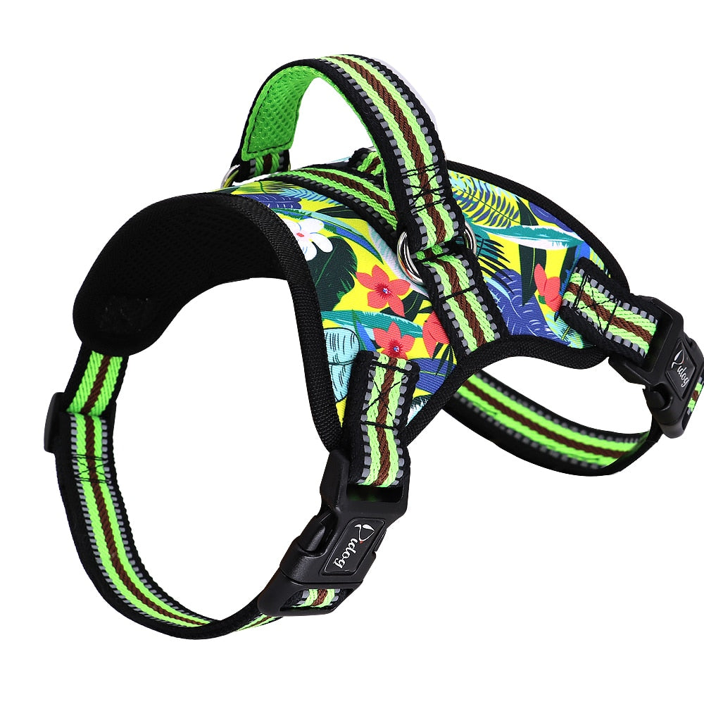 yorkshire terrier harness