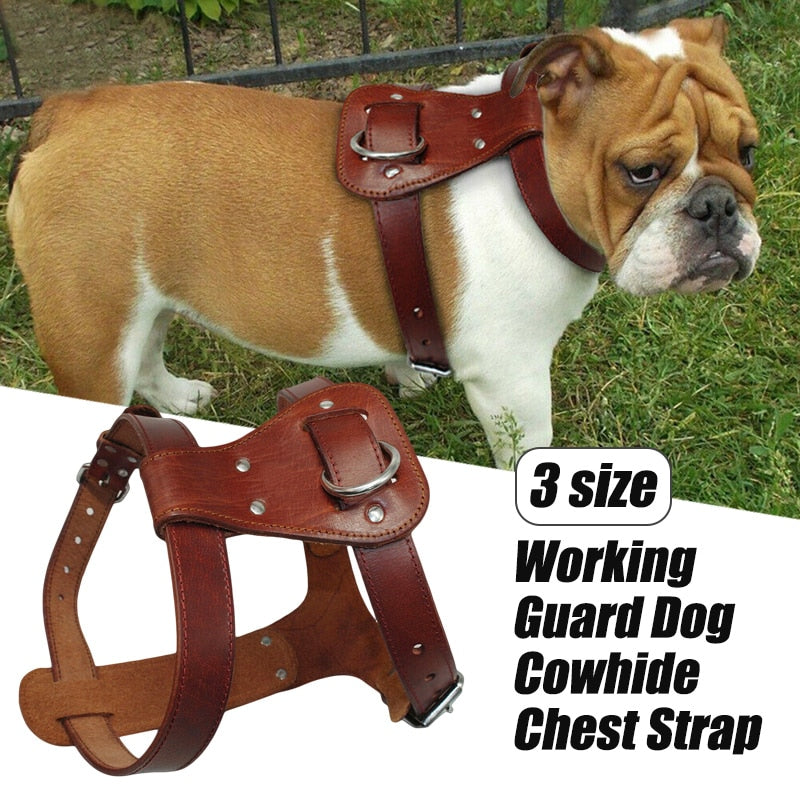 leather dog harness vest