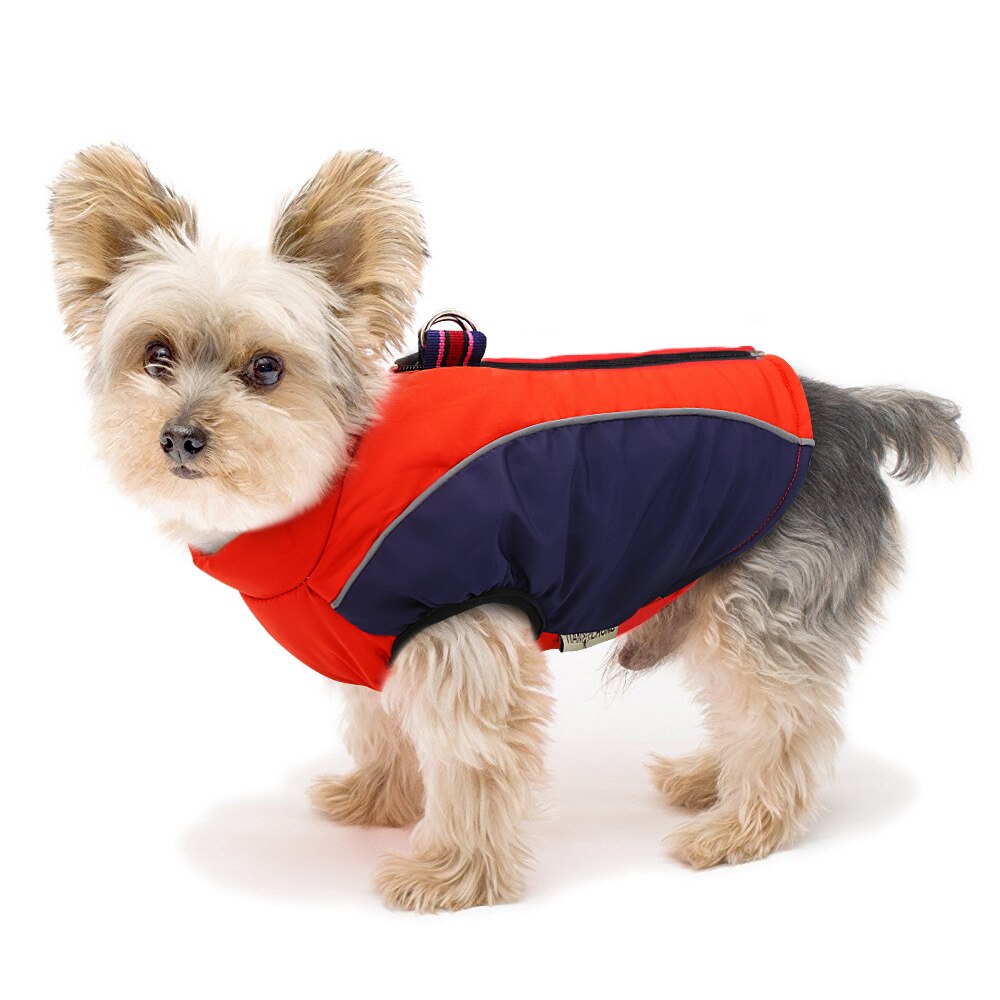warm clothes for dogs