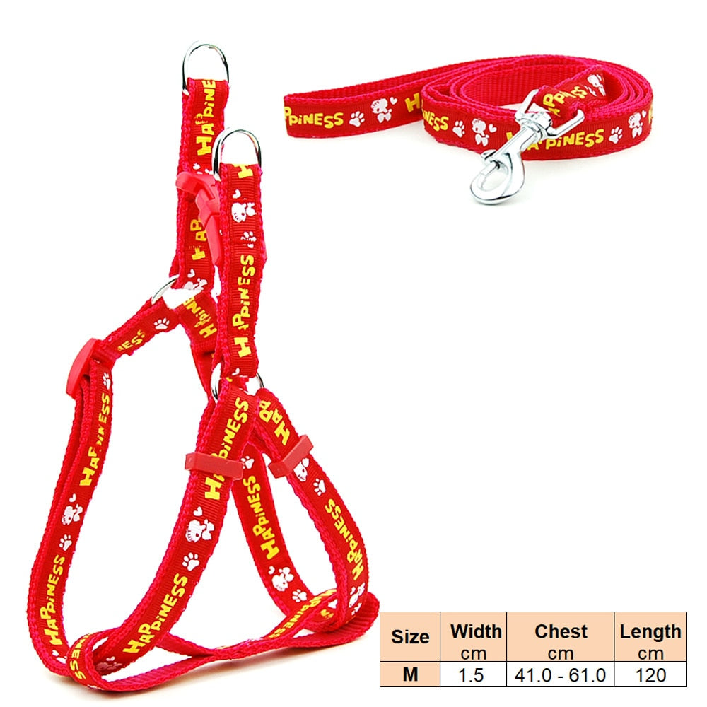 best corgi puppy harness