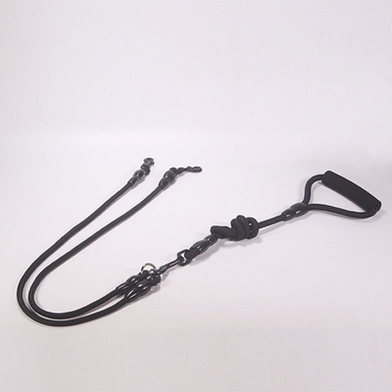 two dogs leash
