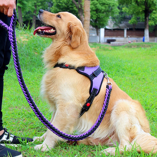 labrador puppy harness