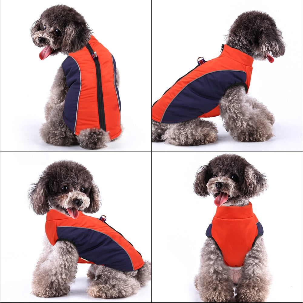 warm waterproof dog coat