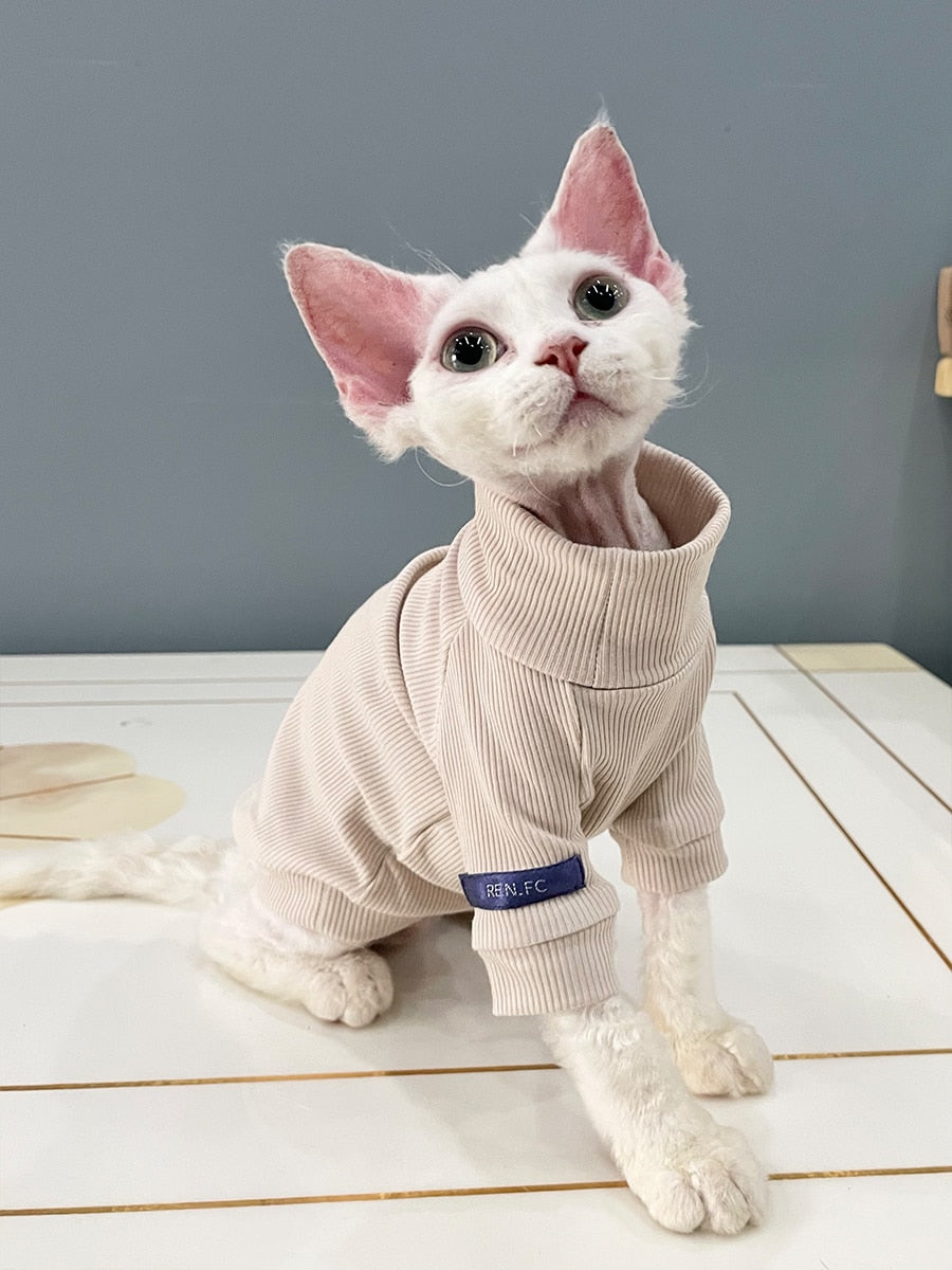 cat sphynx clothes