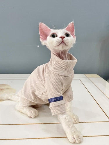 cute sphynx cat clothes
