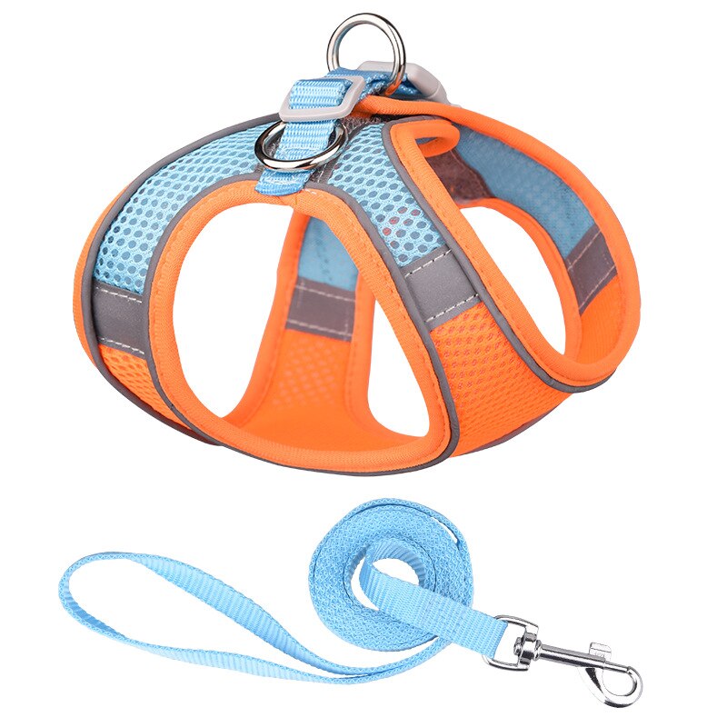 chihuahua harness and leash
