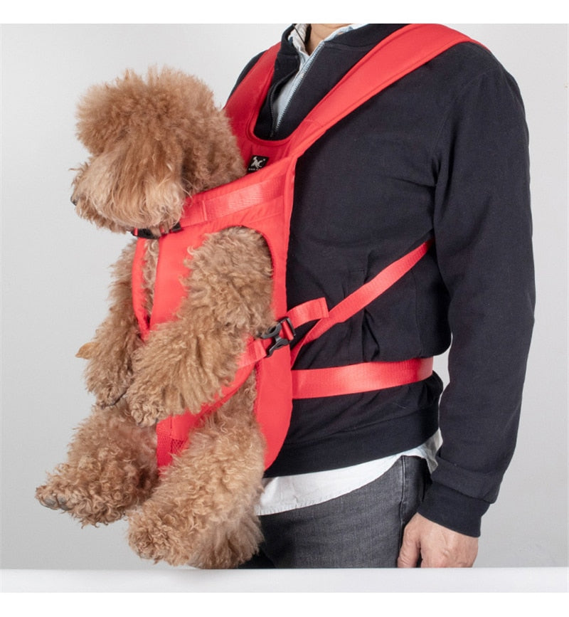 dog front backpack