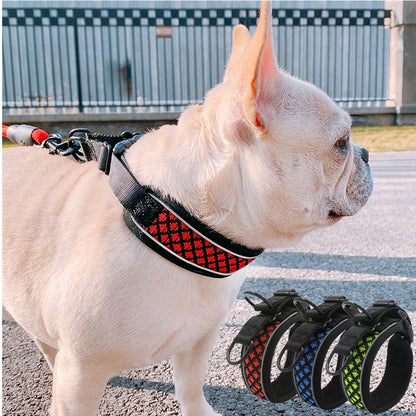 best training collar for french bulldog