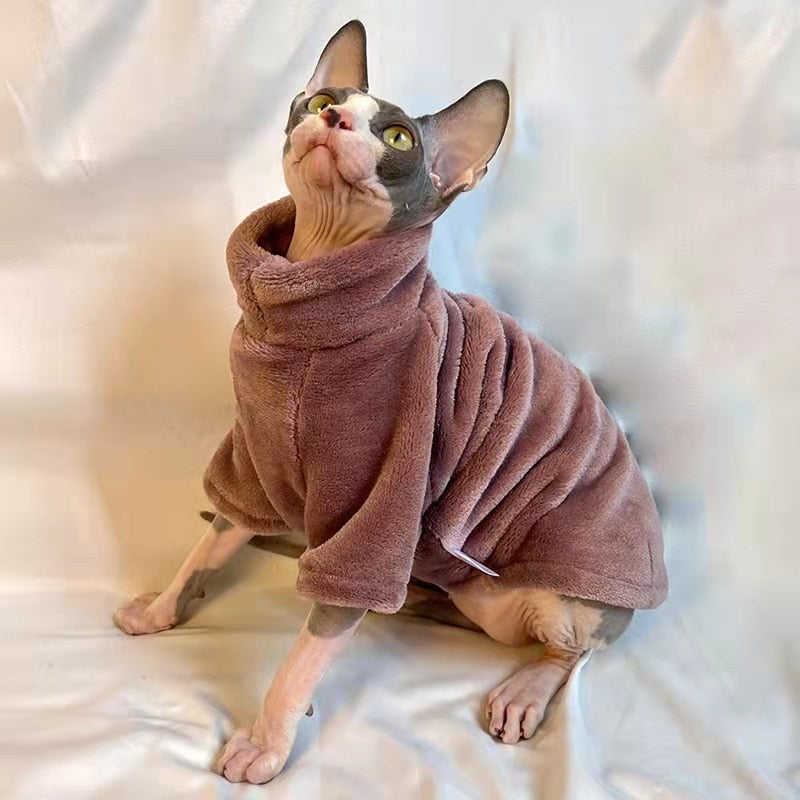 Hairless Cat outfits