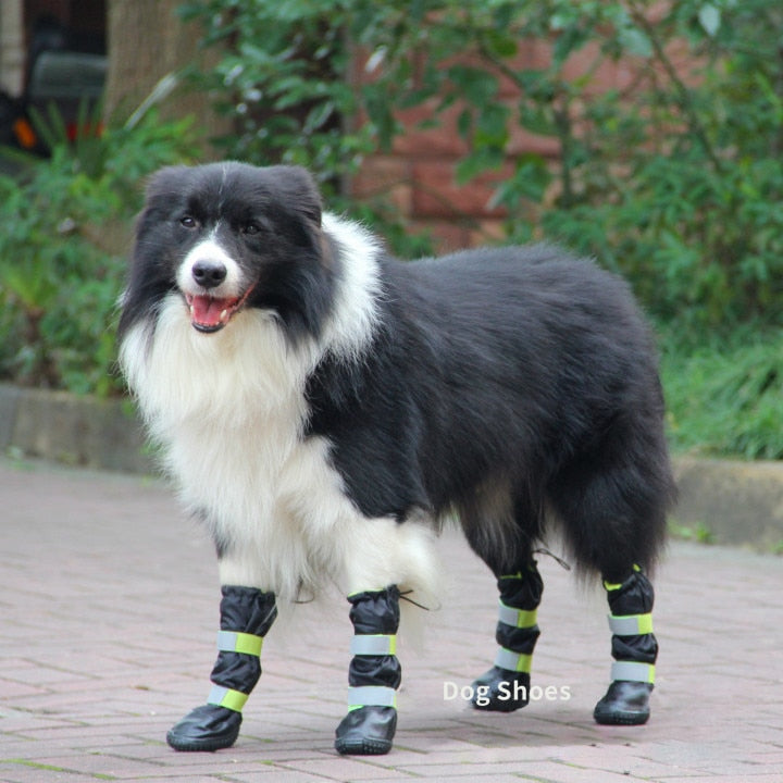 Dog Walking Boots