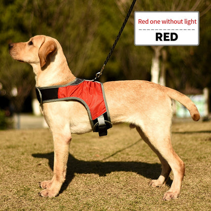 harness for labs