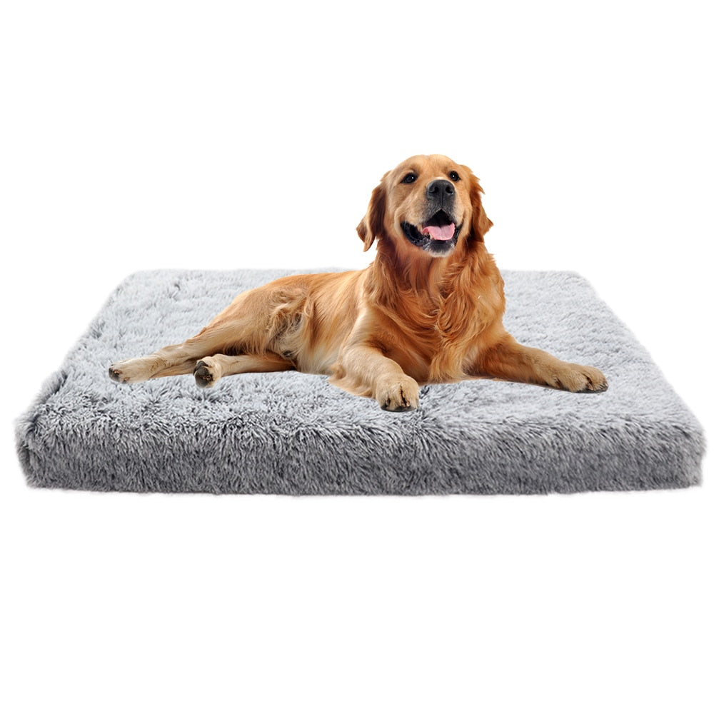 big fluffy dog bed