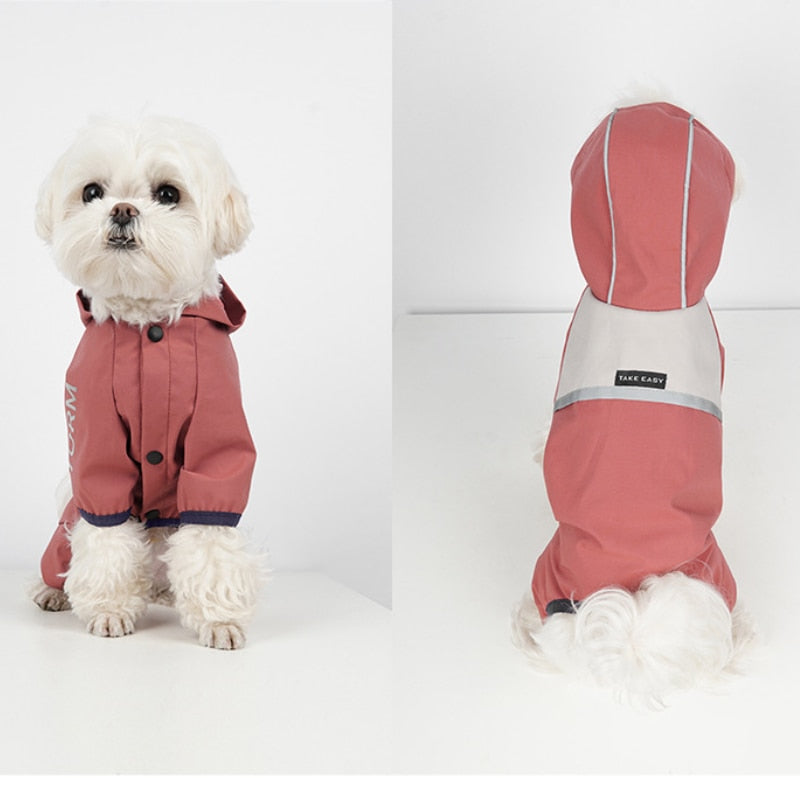  Waterproof Dog Coats With Underbelly Protection