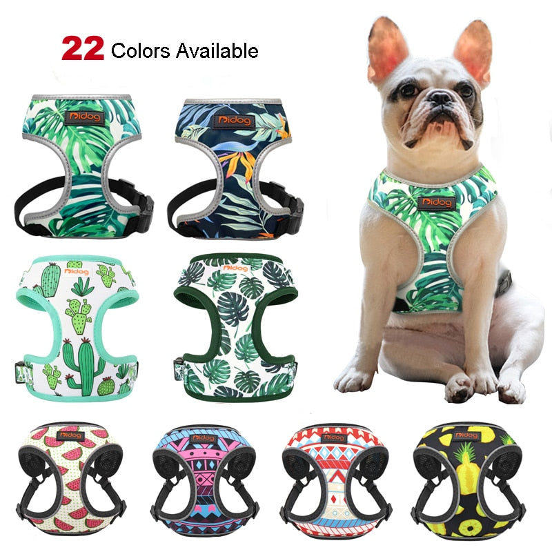 harness for puppy french bulldog