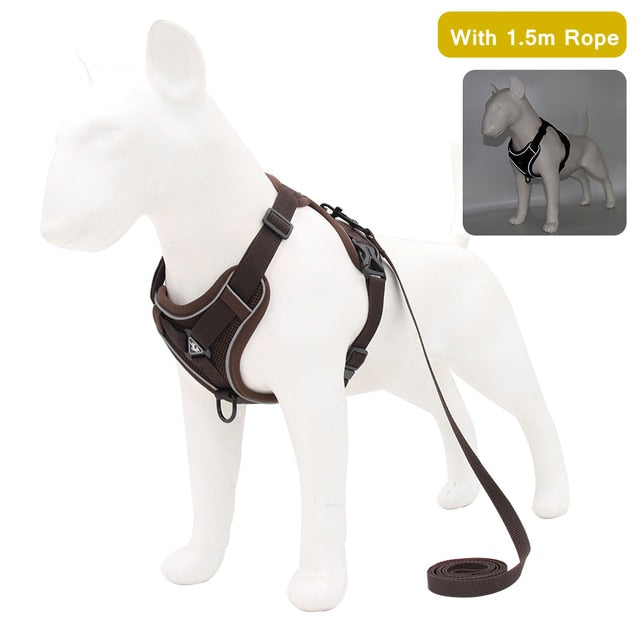 best harness for french bulldogs