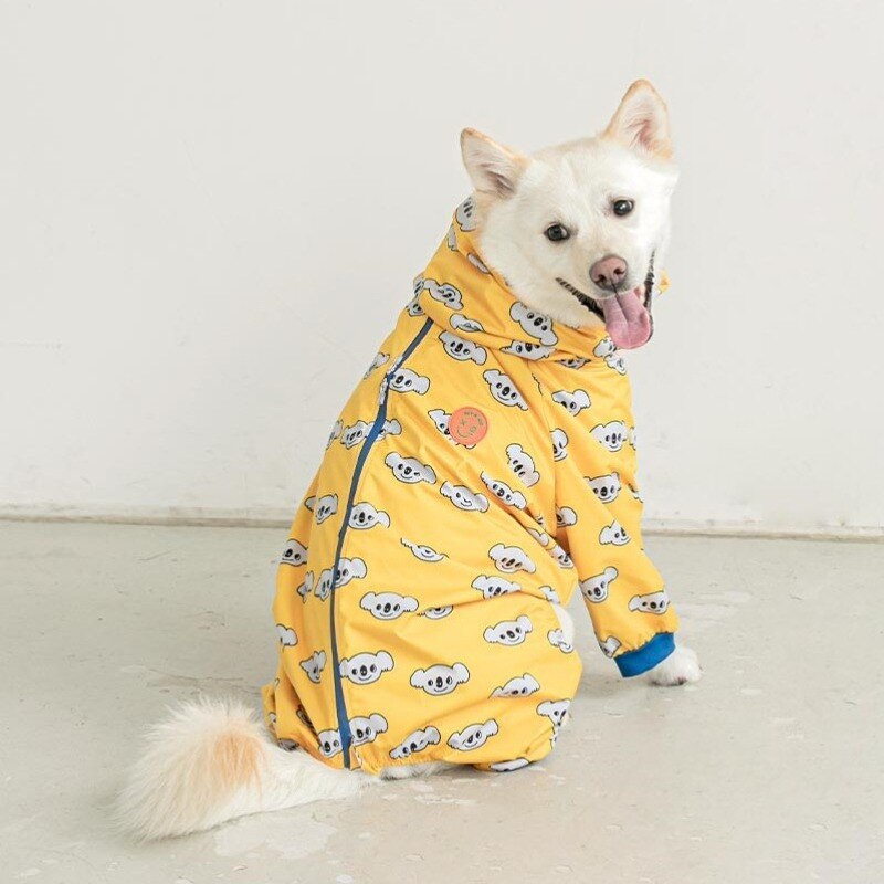 dog raincoat golden retriever
