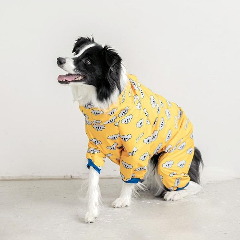 raincoat for labrador retriever