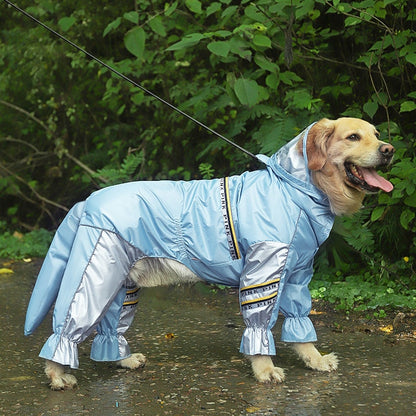 raincoat labrador