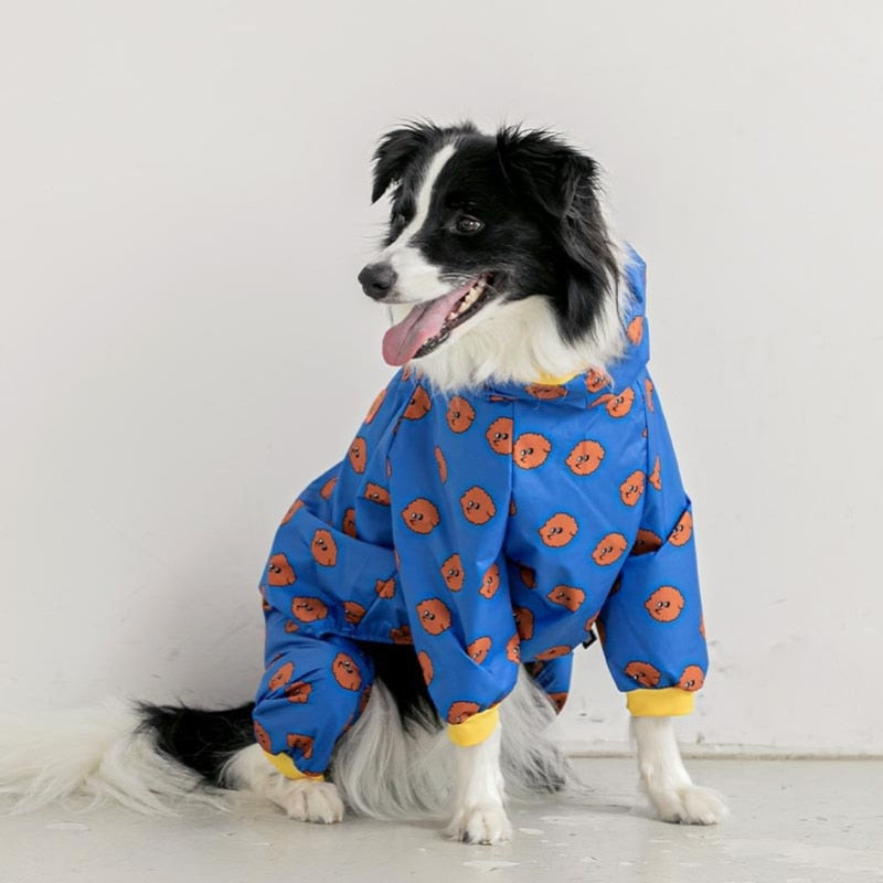 dog raincoat for labrador