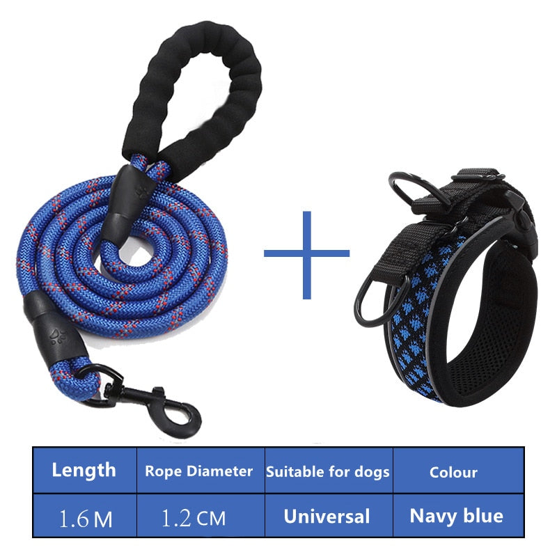 french bulldog collars and leashes