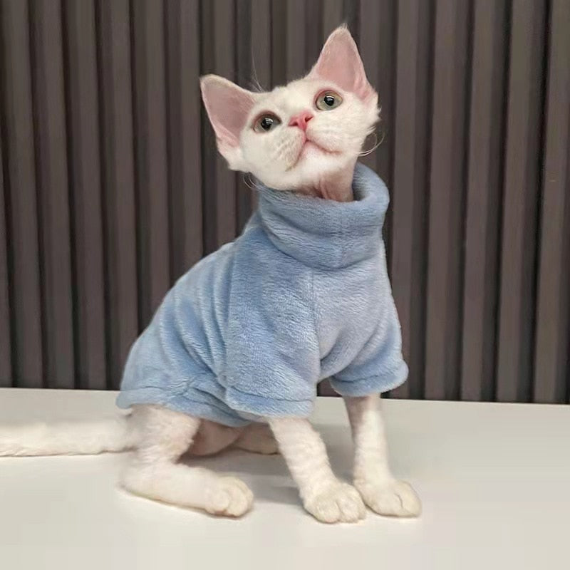 Hairless Cat clothes