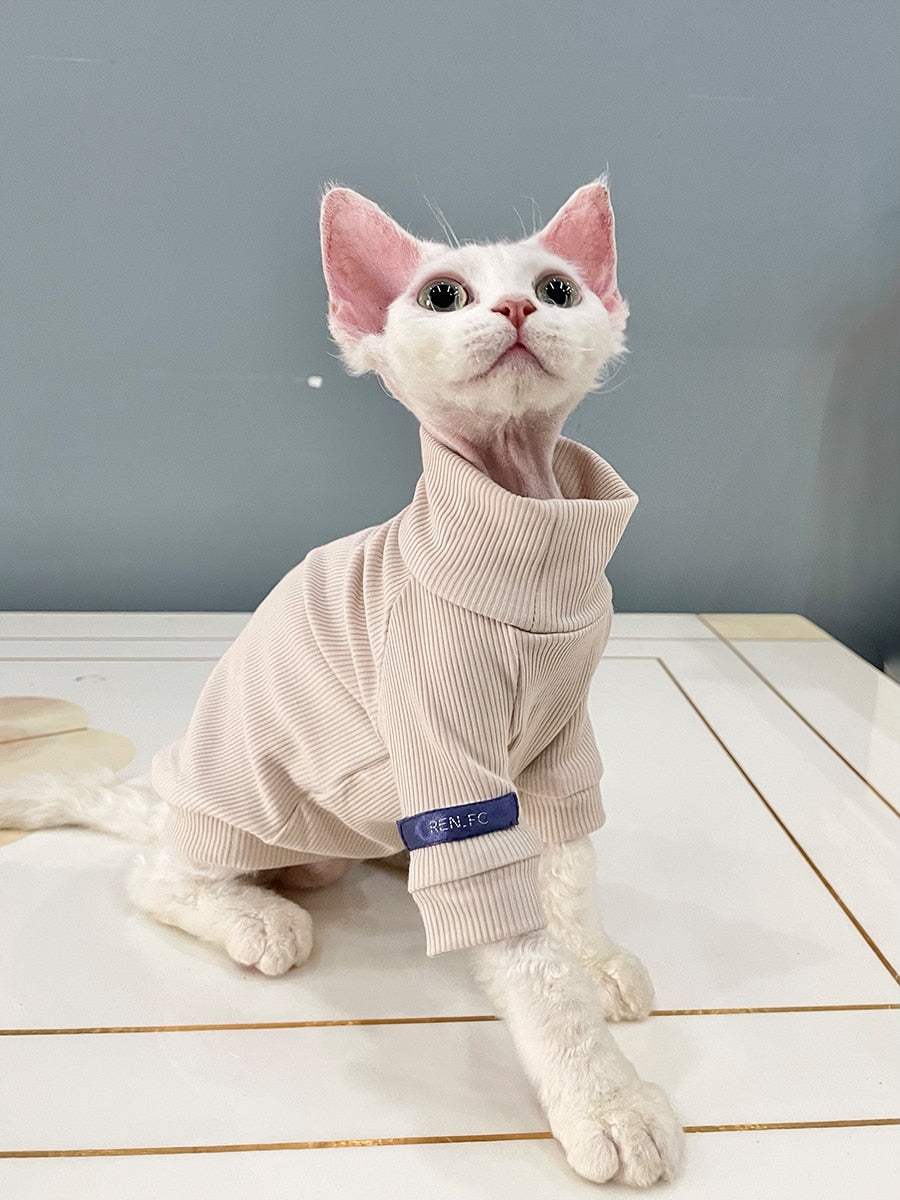 cats sphynx clothes