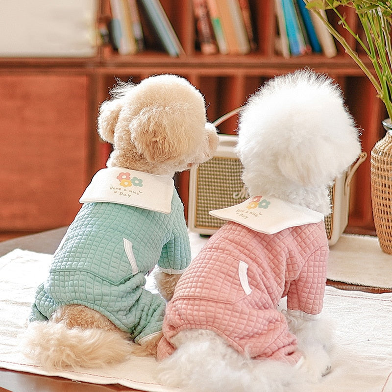 chihuahua puppy clothes
