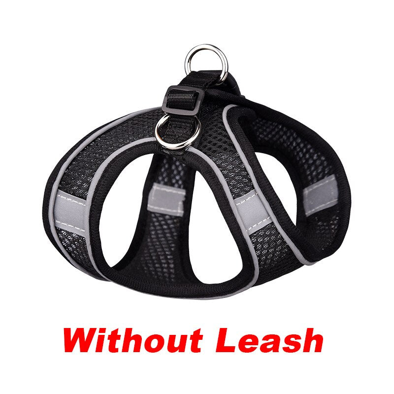 best dog harness for chihuahua